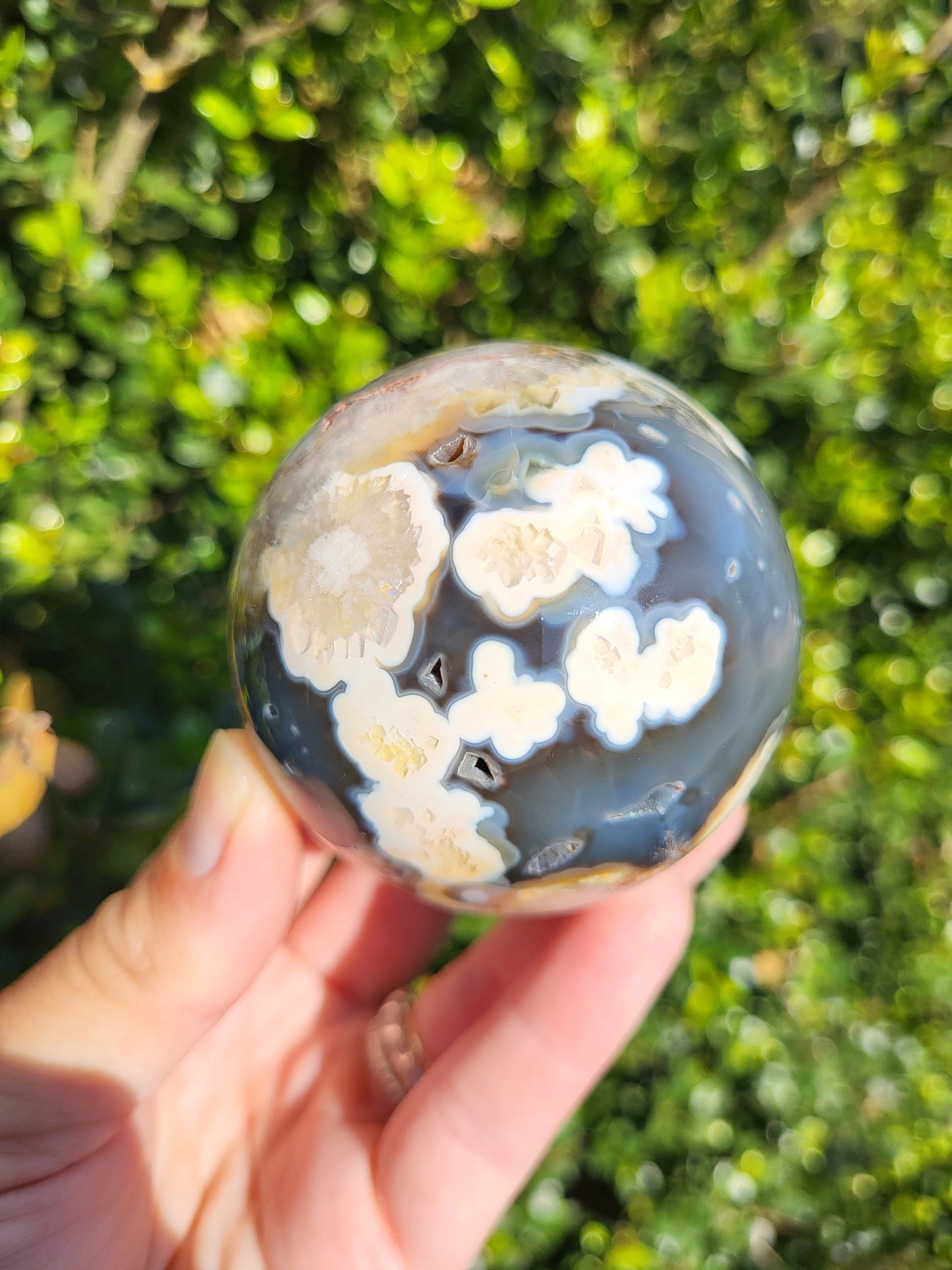 Black Flower Agate Sphere