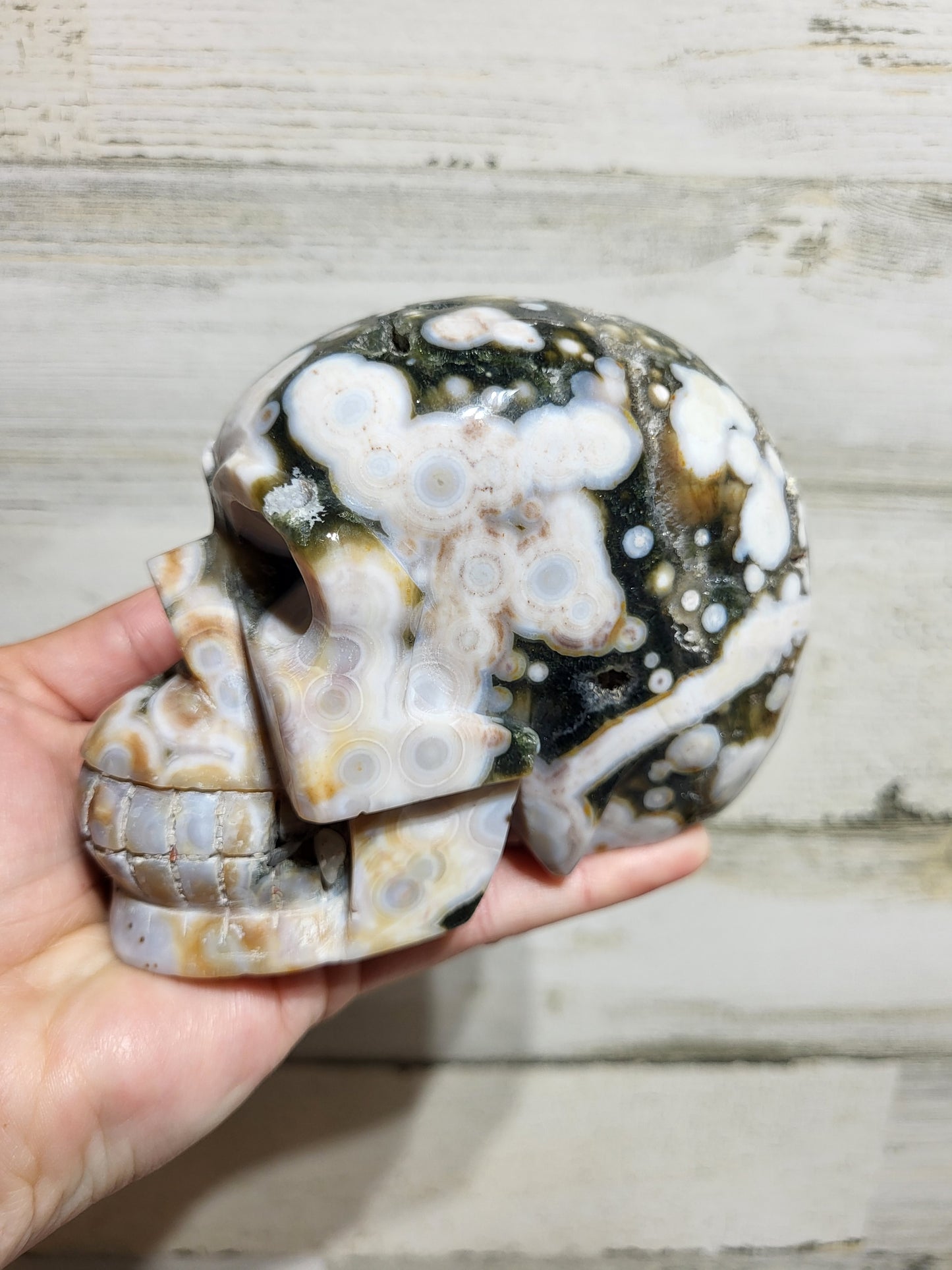 Druzy Ocean Jasper Skull Carving (Vein 6)