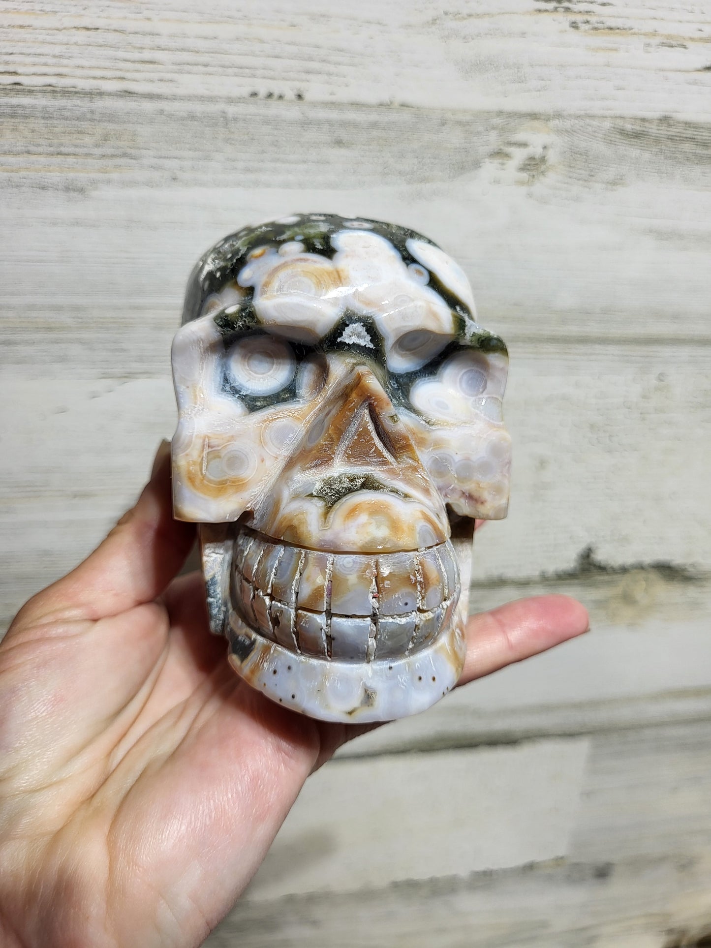 Druzy Ocean Jasper Skull Carving (Vein 6)