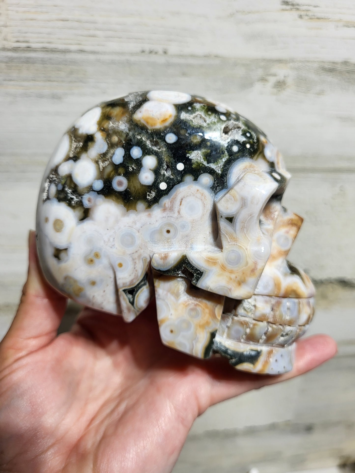 Druzy Ocean Jasper Skull Carving (Vein 6)