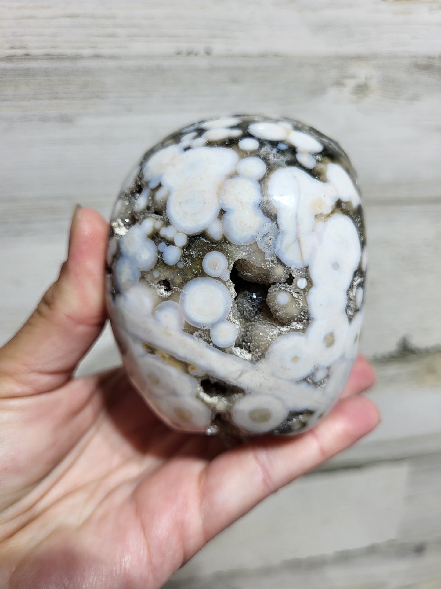 Druzy Ocean Jasper Skull Carving (Vein 6)