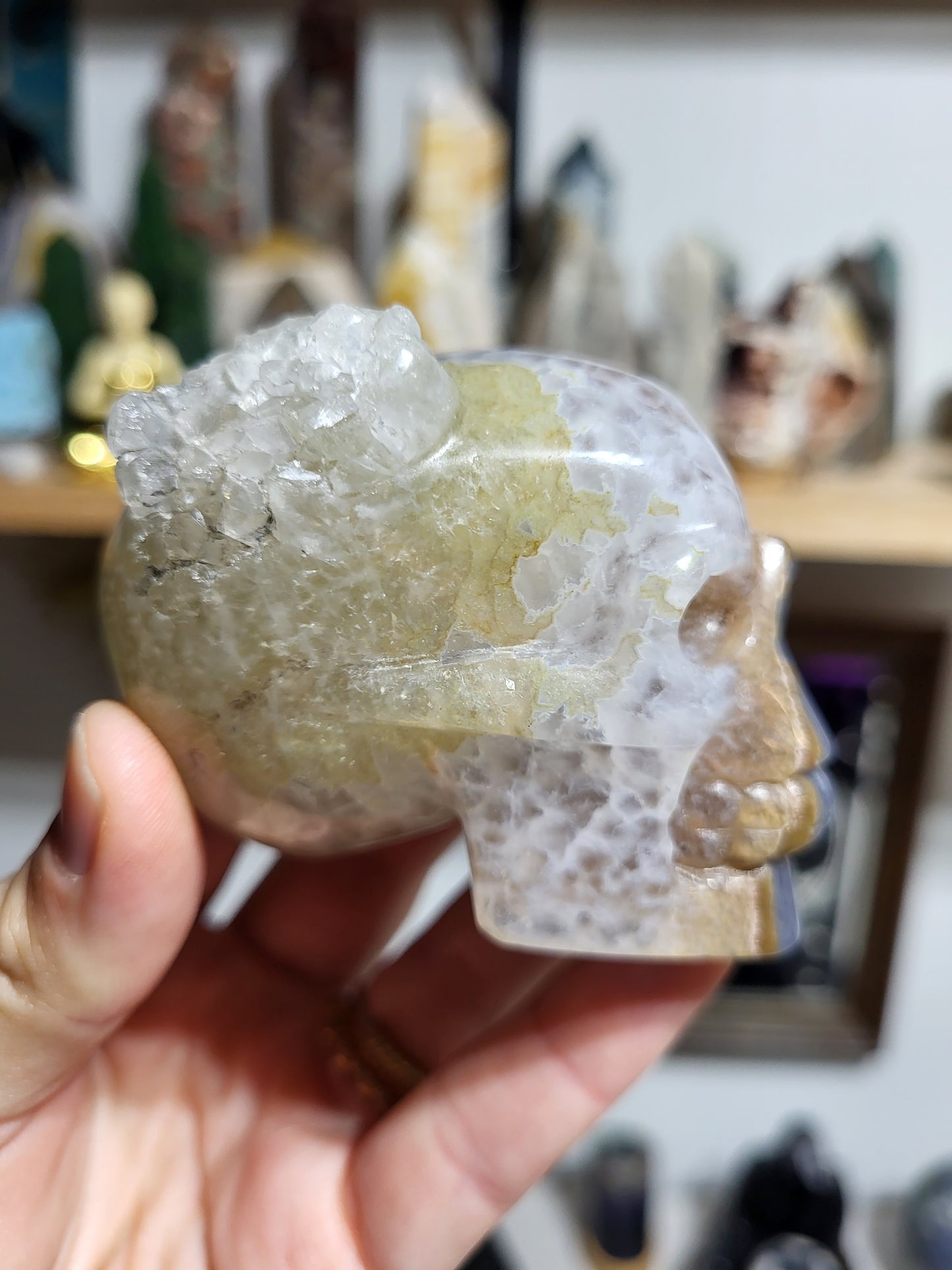 Two Face Agate Skull