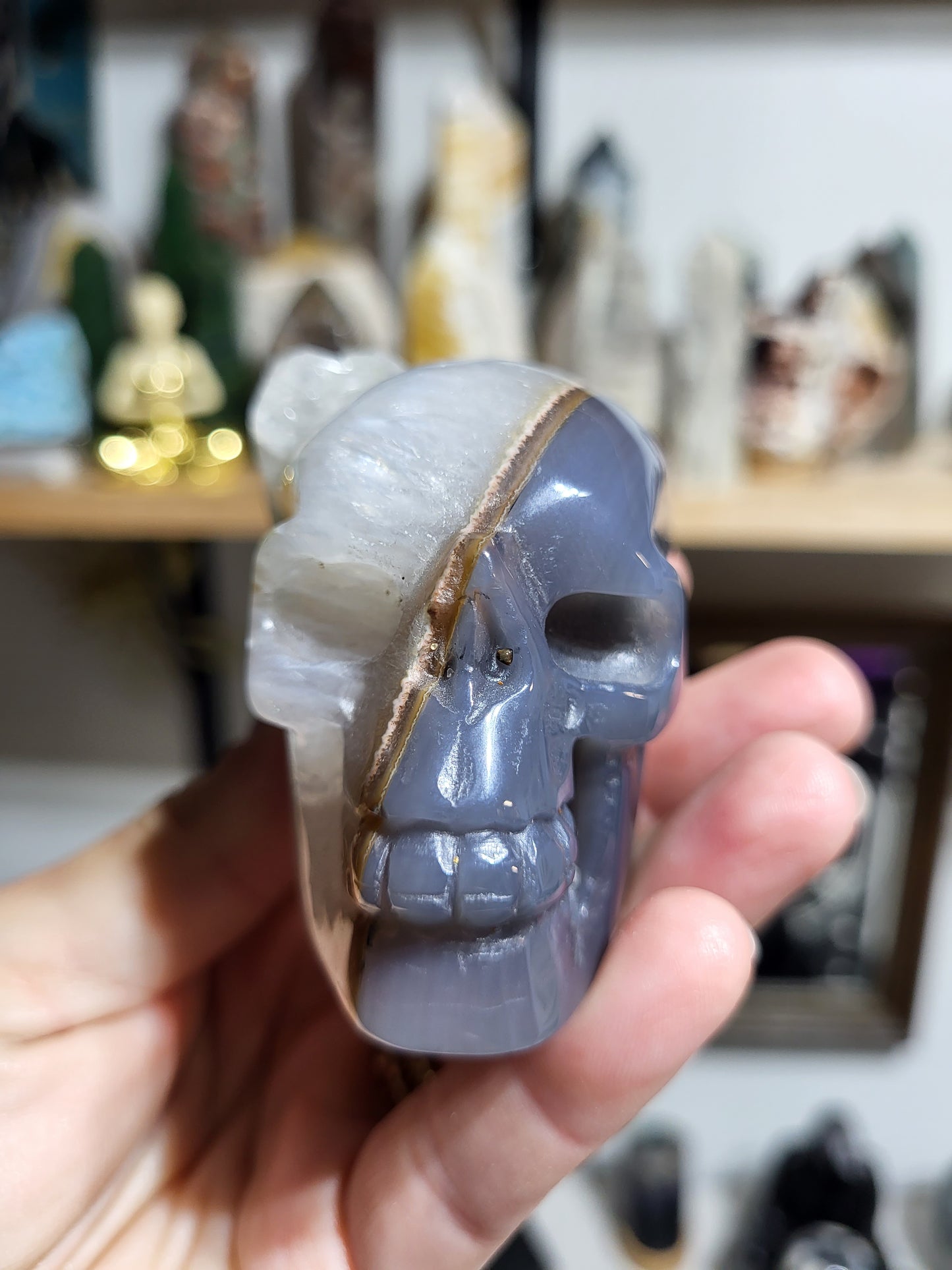 Two Face Agate Skull