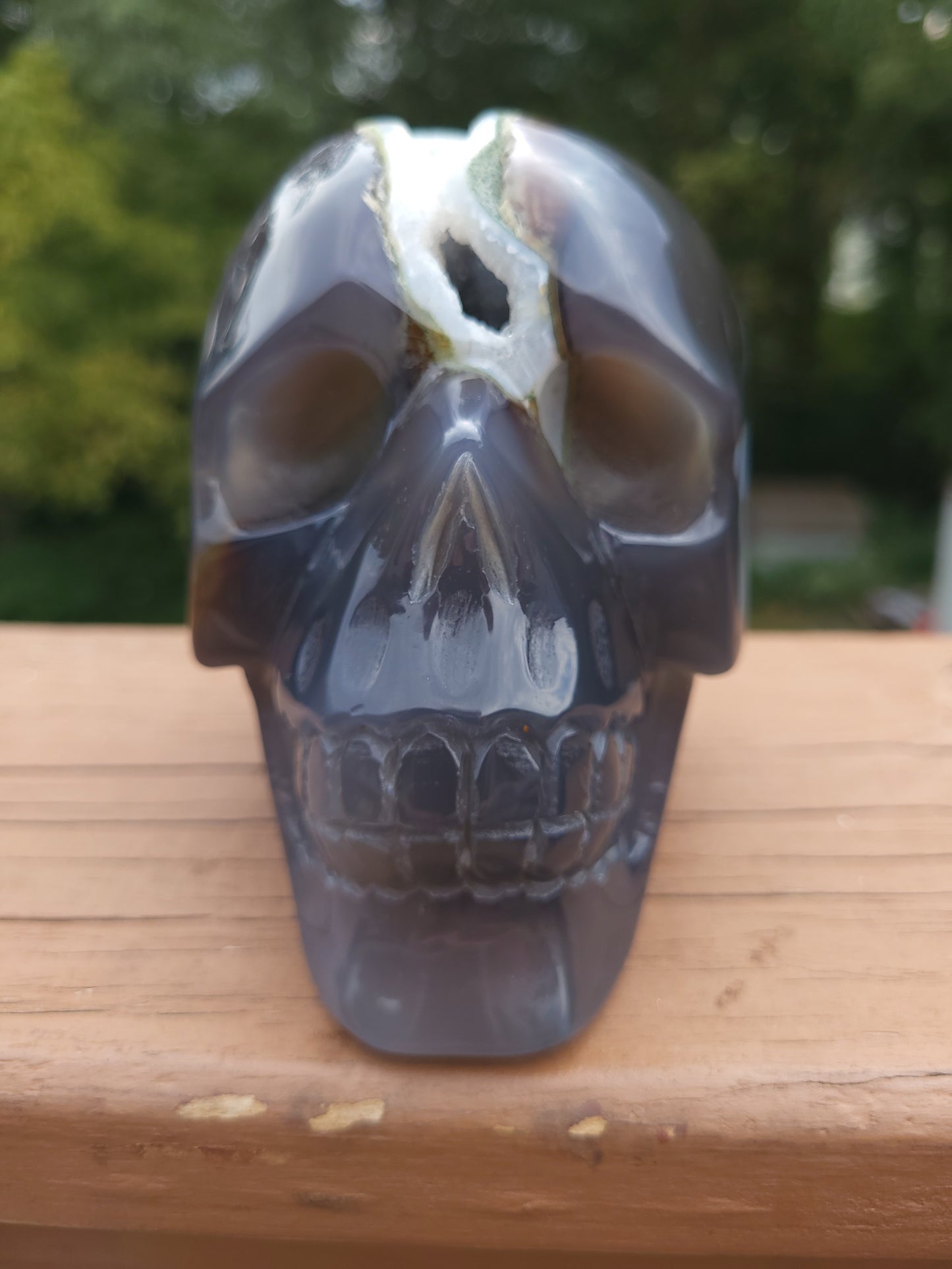 Black Chalcedony Skull Carving