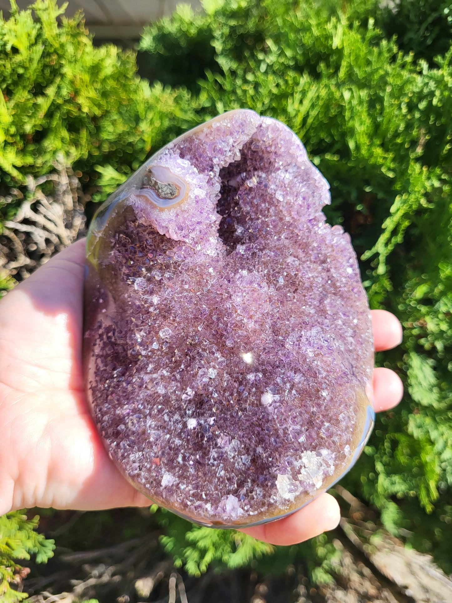 Amethyst Freeform Cluster, Uruguay