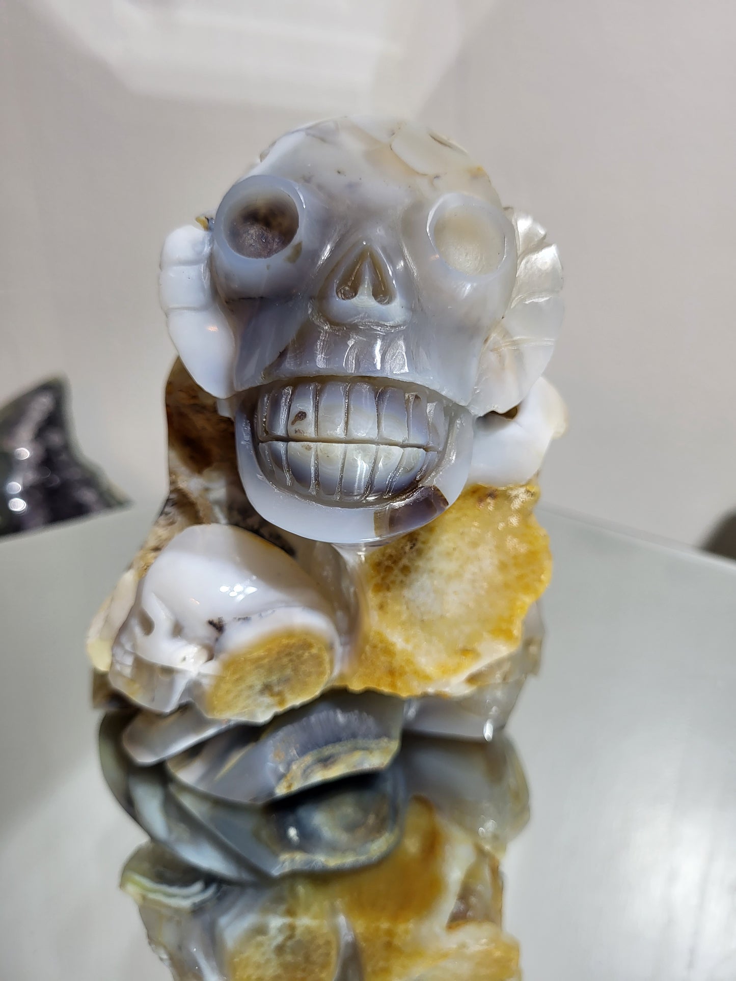 Unique Druzy Agate Skulls Carving