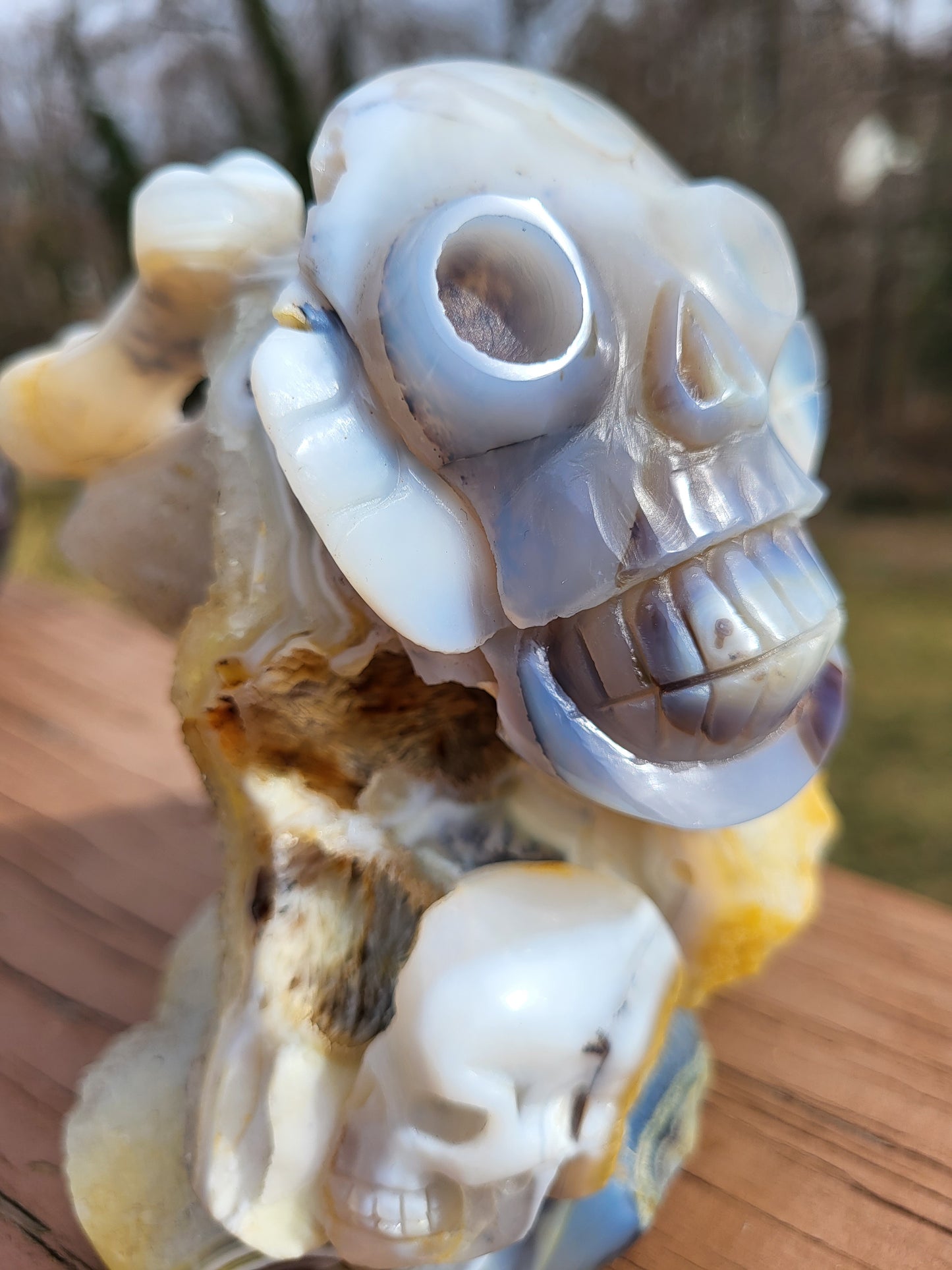 Unique Druzy Agate Skulls Carving