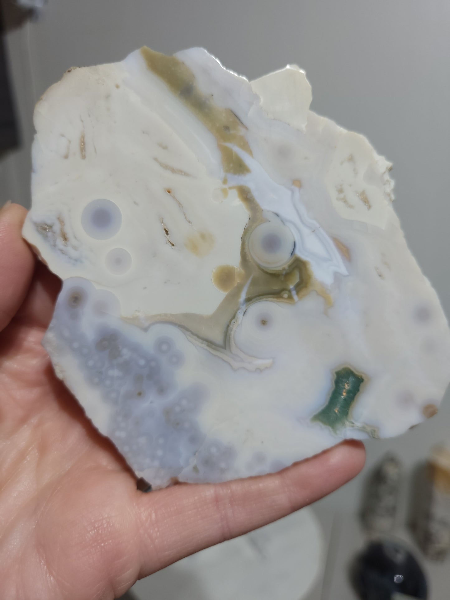 Early Vein Ocean Jasper Slab