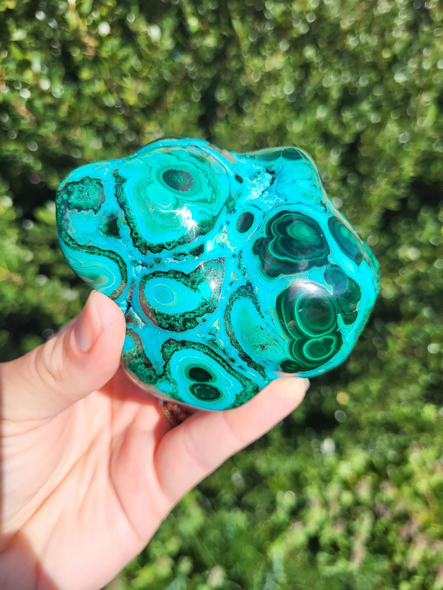 Chrysocolla & Malacite Polished Freeform