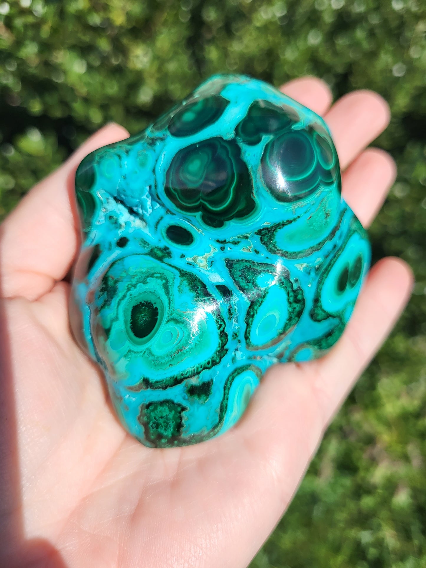 Chrysocolla & Malacite Polished Freeform