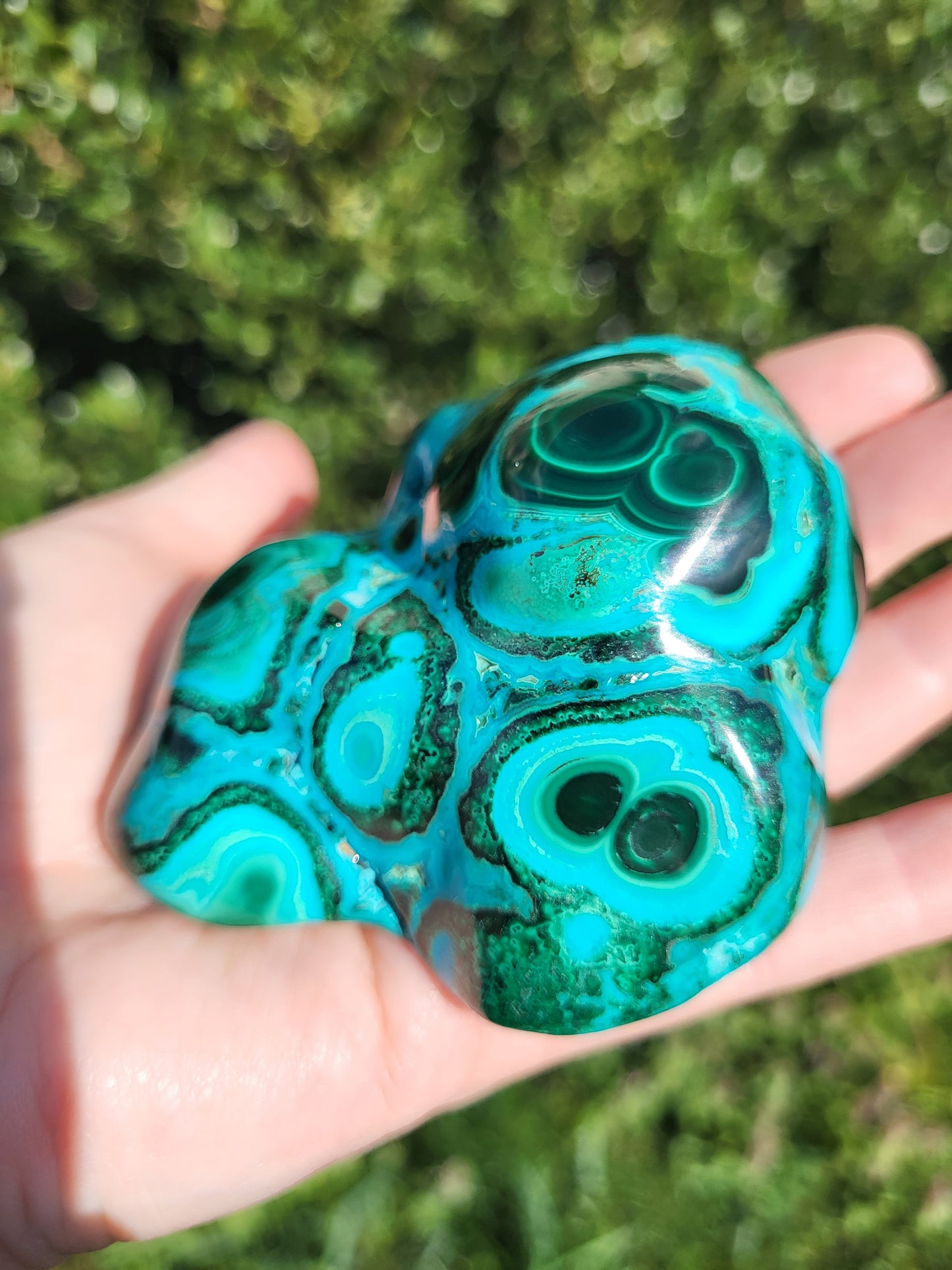 Chrysocolla & Malacite Polished Freeform